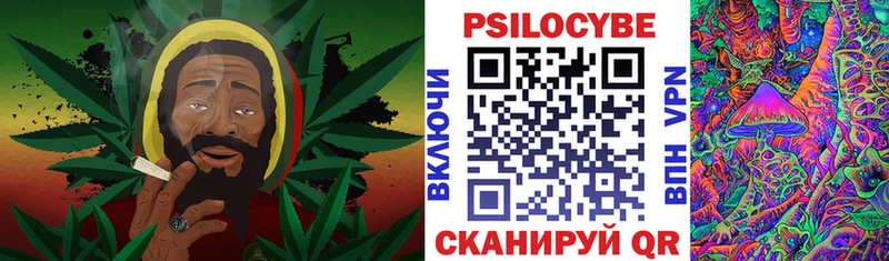 Купить где  Шахты  Галлюциногенные грибы мицелий 